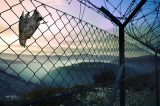 Middle-East Quartet Wants Israel To Freeze Settlements Middle-East Quartet Wants Israel To Freeze Settlements