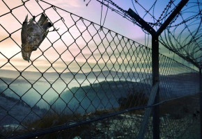 Israel Has No Intention To Freeze The Settlements Israel Has No Intention To Freeze The Settlements