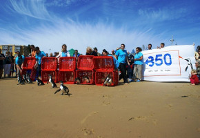 Save Our World: 350.org’s 10/10/10 Global Work Party In Photos Save Our World: 350.org’s 10/10/10 Global Work Party In Photos