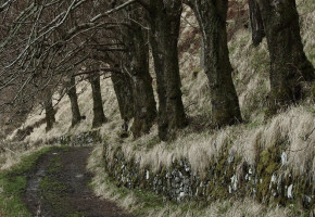 The Path of Resistance, Because to Feel Something Is to Be Alive The Path of Resistance, Because to Feel Something Is to Be Alive