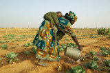 Oxfam Report: ‘The Global Food System Is Broken’ Oxfam Report: ‘The Global Food System Is Broken’