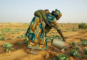 Oxfam Report: ‘The Global Food System Is Broken’ Oxfam Report: ‘The Global Food System Is Broken’