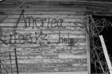 United States of America: The Lowest Common Denominator Empire United States of America: The Lowest Common Denominator Empire