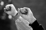 Occupy Movement: Phase Two Occupy Movement: Phase Two