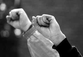 Occupy Movement: Phase Two Occupy Movement: Phase Two