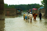 The Pulse of Climate Change The Pulse of Climate Change