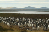 Las Malvinas or the Falkland Islands? The Ugly Face of British Imperialism and Its Startling Cost