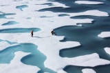 Antarctica’s Accelerating Ice Collapse: Massive Sea Level Rise in Decades Antarctica’s Accelerating Ice Collapse: Massive Sea Level Rise in Decades
