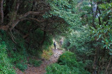 Poetry Is a Tunnel, a Forest in the Human Heart Poetry Is a Tunnel, a Forest in the Human Heart