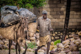 Haiti: Election Circus for Diaspora, More Kaka from MINUSTAH Haiti: Election Circus for Diaspora, More Kaka from MINUSTAH