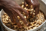Did the Clinton Foundation Steal from the Poor? Did the Clinton Foundation Steal from the Poor?