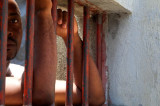 Prison Aid to Haiti for Captive Slave Labor