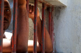 Prison Aid to Haiti for Captive Slave Labor Prison Aid to Haiti for Captive Slave Labor