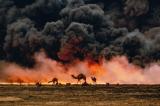 Saudi Arabia vs Qatar: Middle East Controlled-Demolition Plan? Saudi Arabia vs Qatar: Middle East Controlled-Demolition Plan?