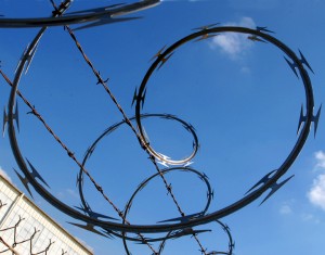 barbwire1 barbwire1