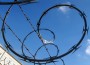 barbwire1