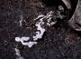 DS071221120403