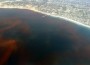 La-Jolla-Red-Tide.780
