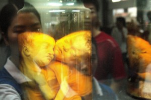 AgentOrange