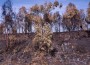 DS071221120115 DS071221120115