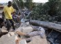 Haiti Earthquake