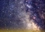 searchforlife