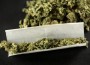 JOINT1