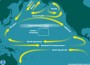 Marine Debris Poster (4) AI9