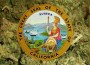 csac-weed