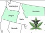 Out-of-staters may not obtain medical marijuana cards in Oregon and Montana.