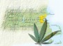 marijuanna_MA_090220_mn