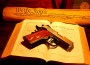 declaration_bible_gun