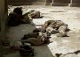 4DeadMarines 4DeadMarines