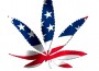 AmericaPotLeaf AmericaPotLeaf