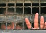 palestinian_prisoner