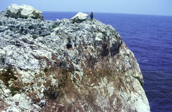 Navassa_WaveBoulders_USGS