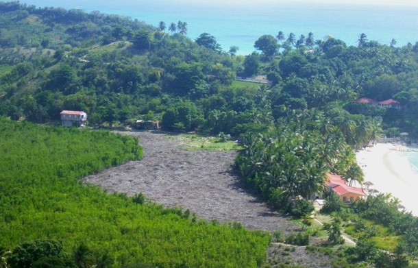 COUPE MANGROVE ABAKA BAY