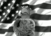 The Muppets Go Tea Bagging