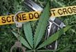 Tough New Rules Weed Out Colorado Pot Shops