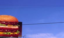 Climate Change: The Question Of Bread
